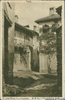 Gentilino collina d`oro spedita Austria